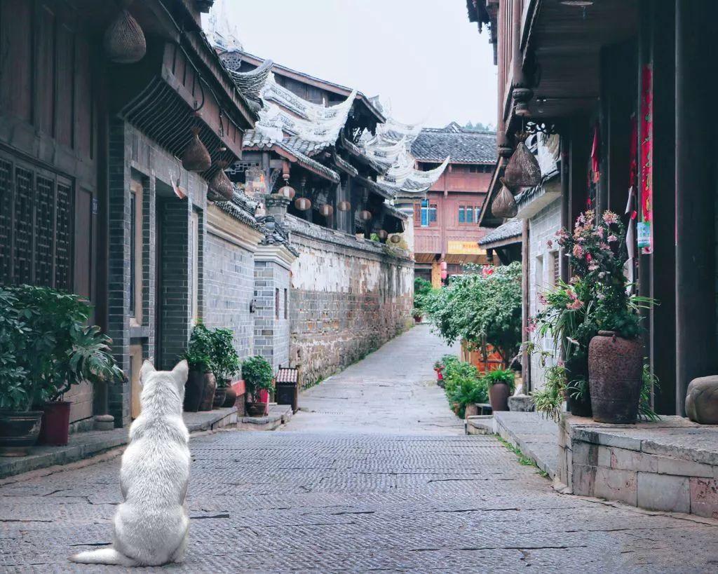 婚前同居到底好不好呢？